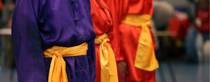 STN: Sinds 1982 hét overkoepelend orgaan voor Taijiquan beoefenaars en leraren.