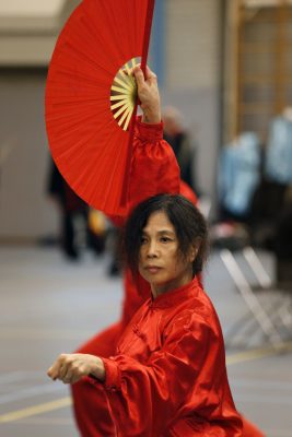 Terugblik STN Festival 2018 - Stichting Taijiquan Nederland 61