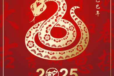 Jaar van de Slang - 2025
